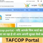 tafcop portal aadhar card mobile number